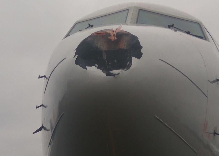 Kuş Sürüsüne Çarpan Uçak Büyük Tehlike Atlattı