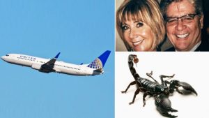 United Uçağında Yine Akrep Paniği Yaşandı