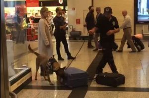 Alman Yolculara AHL’de Köpekli Arama