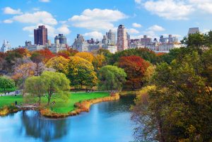 ”Atatürk Havalimanı Central Park Olsun”