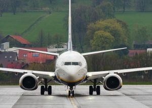Boeing 737 Kalkışta Köpeğe Çarptı