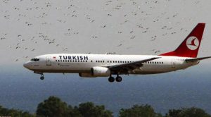 THY Uçağı Kuş Sürüsüne Çarptı
