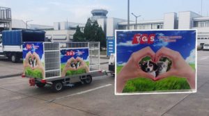 TGS’DEN HAYVANSEVER UYGULAMA