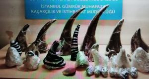 ATATÜRK HAVALİMANI’NDA GERGEDAN BOYNUZU YAKALANDI