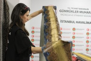 İSTANBUL HAVALİMANI’NDA YILAN DERİSİ OPERASYONU