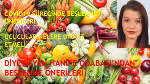 HAVACILARA SALGINDA BESLENME TAVSİYELERİ