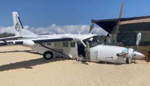 PLAJDA DAVETSİZ MİSAFİR!