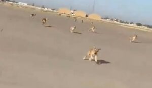 HAVALİMANINDA ŞOK GÖRÜNTÜLER