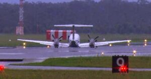 GÖVDE ÜSTÜNE İNDİ (VİDEO)