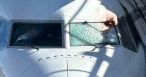 KUŞ SÜRÜSÜ PİLOTU YARALADI