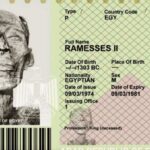 DÜNYANIN EN İLGİNÇ PASAPORTU