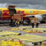 DHL’NİN EN İLGİNÇ TESLİMATLARI AÇIKLANDI
