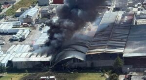 UÇAK KAZASINDA 10 ÖLÜ (VİDEO)