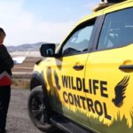 İSG’DE KUŞ SÜRÜLERİNE BİLİMSEL ÖNLEM