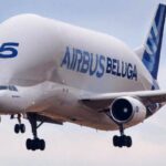 UÇAN BALİNA GÖKLERE VEDA ETTİ (VİDEO)