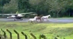 ATLAR PİSTE GİRDİ FACİADAN DÖNÜLDÜ (VİDEO)